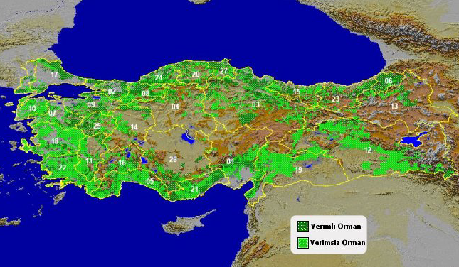 7 Bu bölümde Artvin ili ormanclk sektörünün mevcut durumu; orman alan varl, ormanlarn yaps, ormanlarn aaç varl, artm ve eta durumu, ormanlarn bonitete göre dalm, ormanlarn bitki ve hayvan varl,