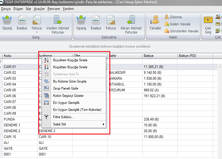 Yukarıda anlatılan tüm pencerelerdeki kolonların üzerine sağ tıklama yapıldığında aşağıda ekran görüntüsü bulunan menü açılır.