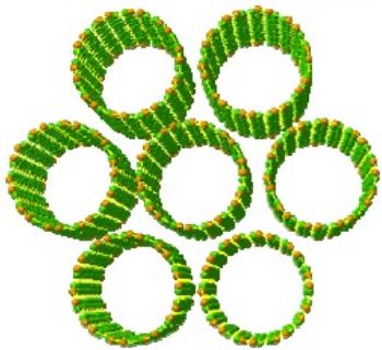 1 Tek katmanlı karbon nanotüpler Tek katmanlı karbon nanotüpler, çapı yaklaşık 0.7-10.0 nm ye sahip içi boş silindir yapılardır. Ancak gözlenebilen çoğunun çapı < 2 nm dir.