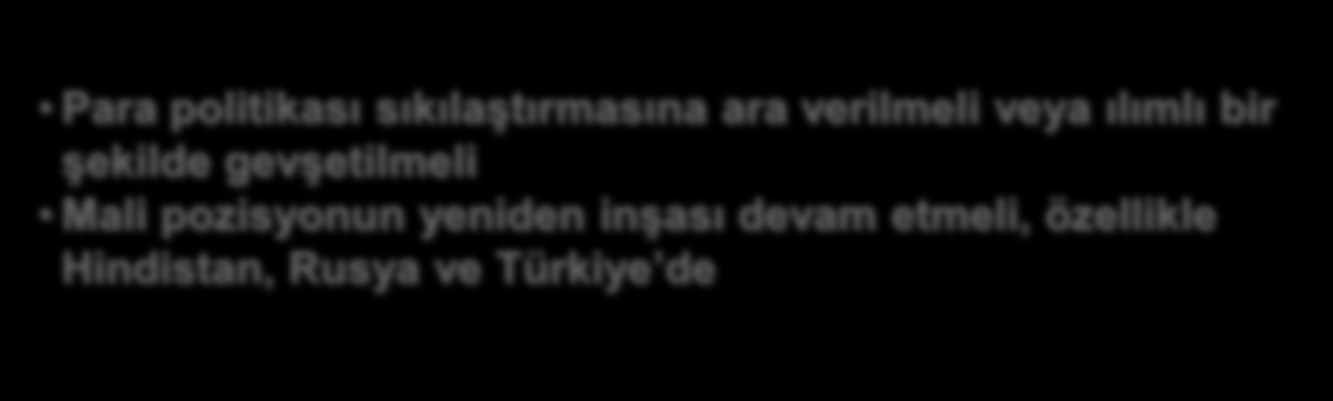 Yükselen Piyasalar ve Gelişen Ekonomiler: Kompleks görünüm potansiyel reel ve finansal kırılganlıklar göz önüne alındığında makro duruşu kalibre etmek gerekmektedir Temel senaryo Aşağı yönlü riskler