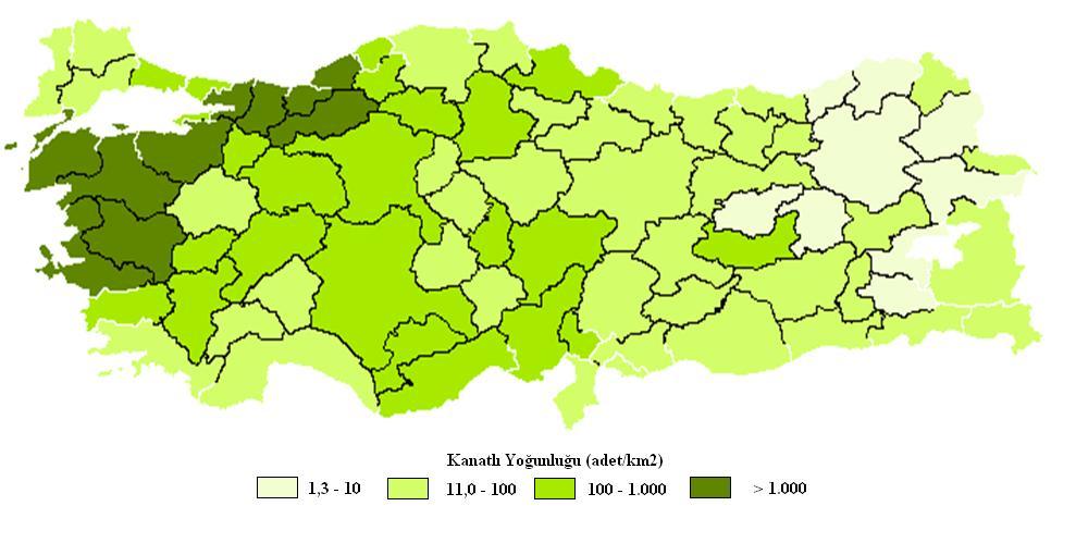 Şekil 4 Türkiye de Yıllara Göre Kesilen Etlik Piliç Sayısı ve Tavuk Eti Üretimi Kaynak: Türkiye İstatistik Kurumu Veritabanı Türkiye de tavuk yetiştiriciliğinin yoğun olduğu bölgeler Ege, Güney
