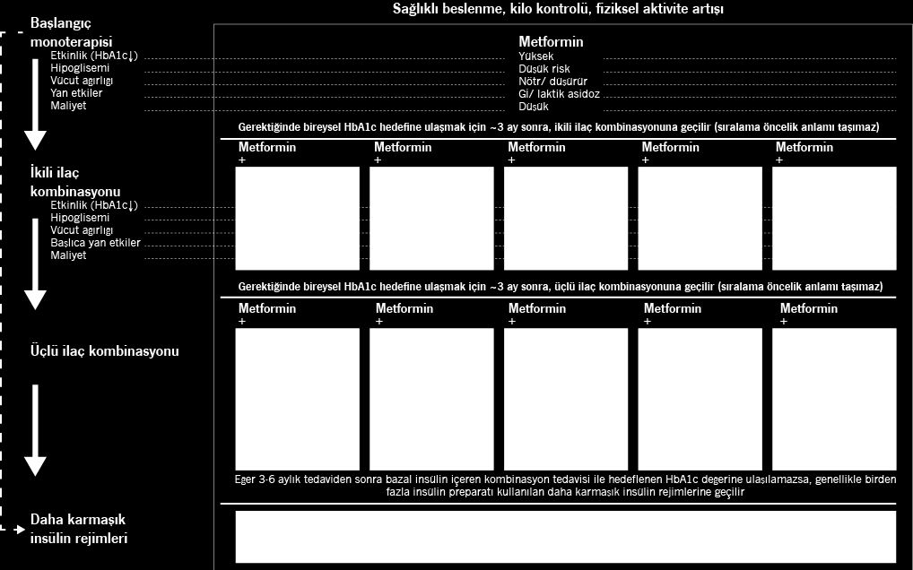 ADA/EASD-2012 T2DM tedavi algoritması 1 1.