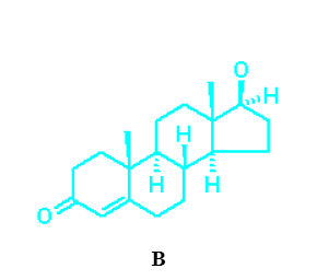 Şekil-1: A-Pregnenalon, B-Testosteron (12) Testosteron bu topluluk içinde miktar olarak en fazla olanıdır. En etkili olanı ise hedef dokularda testosterondan dönüşümü yapılan DHT dur.