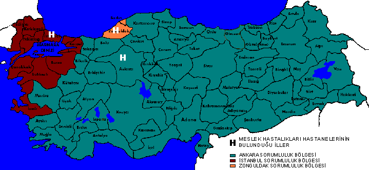 MESLEK HASTALIKLARI TANI MERKEZLERİ Meslek Hastalıkları Hastaneleri