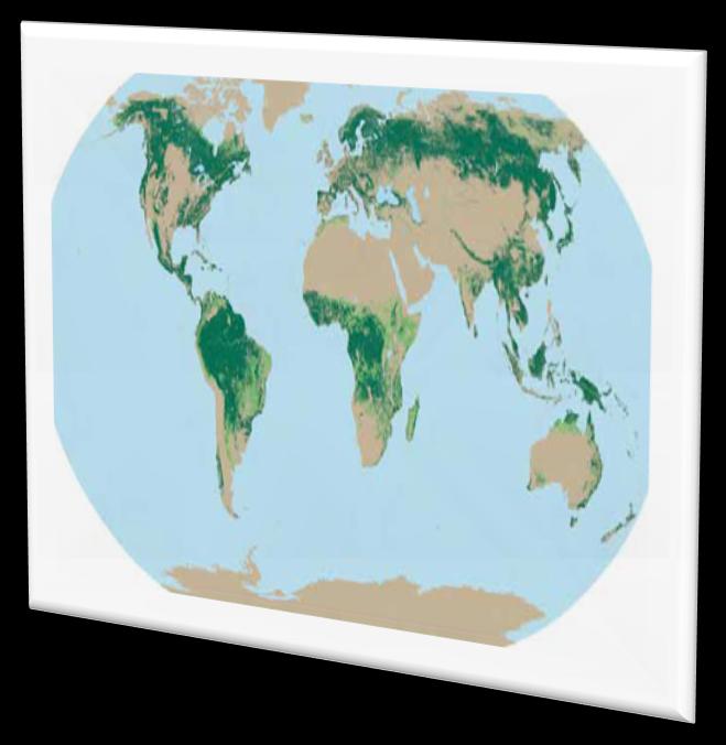 Dünya Orman Alanı ve Değişimi Kıta Adı (Anakara) Kara Alanı (1000 ha.) 2000 Yılı Orman Alan (1000 ha.) 1990-2000, Arası Orman Alan Yıllık Değişim(1000 ha.) Afrika 2.978.394 649.866-5.262 Asya 3.084.