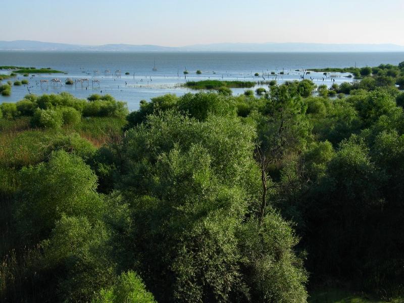 Şekil 4.5: Manyas Kuş Gölü İl genelinde akarsular dışında en önemli ıslak alan peyzajını Manyas Kuş Gölü oluşturmaktadır.