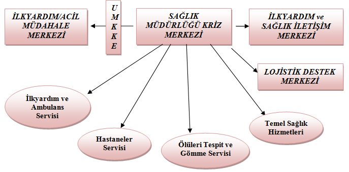 Hastane servisi: Bölgedeki hastaneler afet durumunda görevlendirildikleri konuda her türlü tıbbi ve cerrahi müdahaleyi yaparlar.