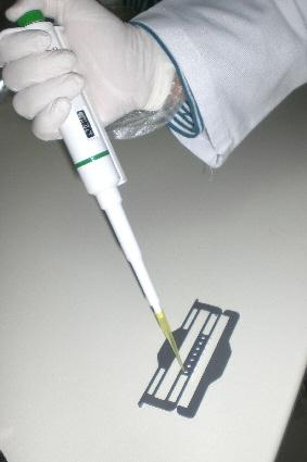 Resim 4.15: Gözenekli aplikatör Hasta serumlarından aplikatörün numaralı kuyucuklarına 10 µl serum pipetlenir.