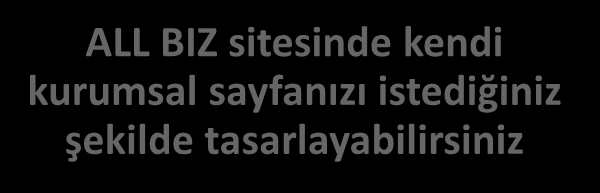 bilgiler (ziyaretçi istatistikleri, ziyaretçi coğrafyası, anahtar kelimeleri, en fazla ziyaretçi kabul eden