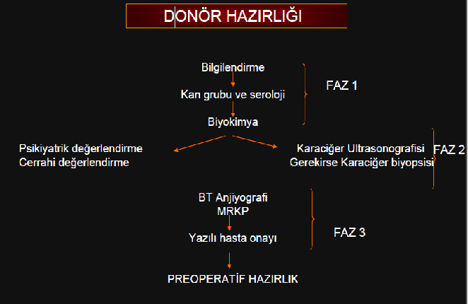 Şekil 5. Donör hazırlığı Donör güvenliği Karaciğer donör adayı olarak başvuran kişilerden aşağıdaki şartlara uygunluk istenilmektedir.