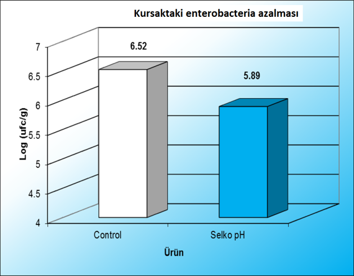 Denemede Ölçülen Parametreler «Kursaktaki laktik asit bakterisi kontrol grubuna göre % 66 artarken, enterobakterilerin