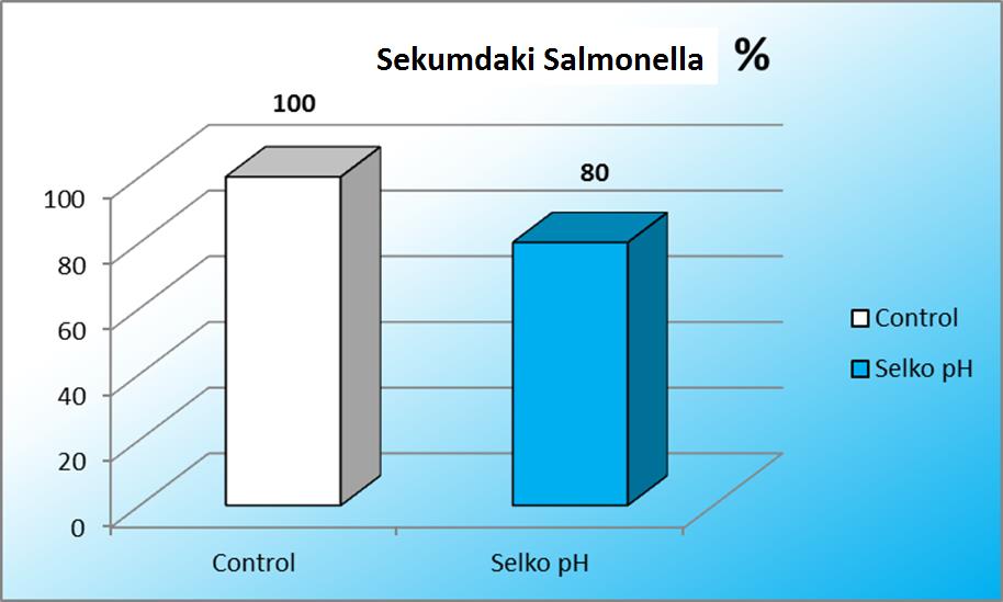 «Sekumdaki Salmonella