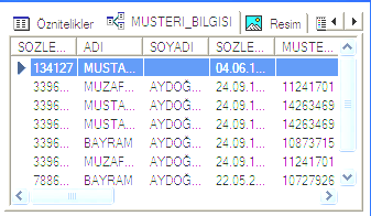 entegrasyonunun gösterimine gelmiştir. ArcPad de binaya ait Müşteri bilgileri 21 de görüntülenmektedir.