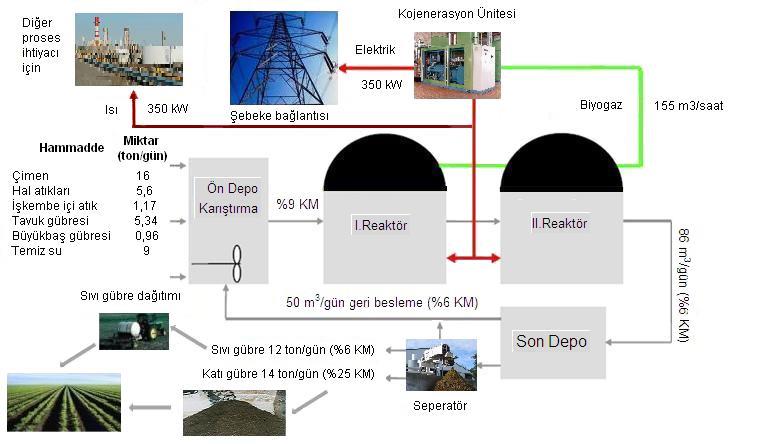 BİTKİSEL VE HAYVANSAL