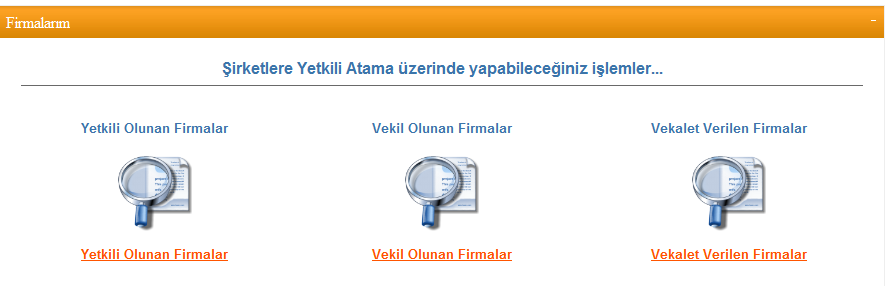 12 Doğrulama işlemi gerçekleştikten sonra kullanıcılar firma işlemlerini elektronik ortamdan gerçekleştirebilmektedir. 2.