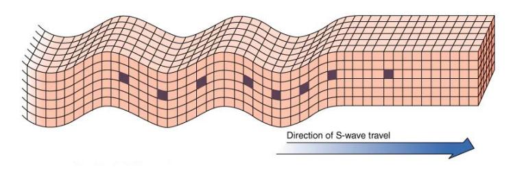 S Dalgaları Enine, makaslama ve ikincil dalgalar da denir.