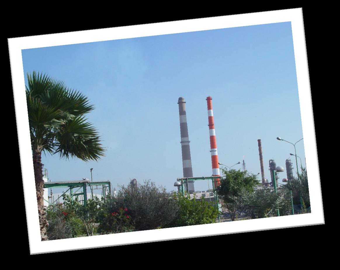 RAZI PETROCHEMICAL CO. 2012 YILI TAHMİNLERİ 2012T Kapasite Kul. Oranı % 60% Üretim '000 Ton 2.250 Satış '000 Ton 1.