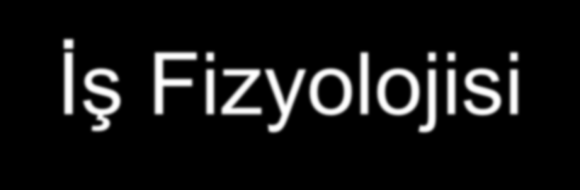 İş Fizyolojisi İş fizyolojisi; bir işin yapılması esnasında bir taraftan işin durumu diğer taraftan iş yeri koşularının etkisi ile meydana gelen bedensel ve zihinsel baskıyı konu alan bilim dalıdır.