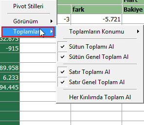 Görünüm kısmında sütun, veri, satır ve veri alanının görülüp