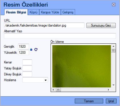 14 Kişisel Web Sayfası Tasarım Sistemi Seçtiğimiz dandalion.jpg dosyası artık sunucuya aktarılmıştır. Bu ekranda dandalion.jpg dosyasının üzerine tıklandığında ekrana aşağıdaki görüntü gelecektir.