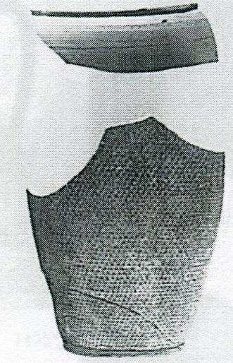 Aco Kırım Kabın vücudunu kaplayan ince yapım dikenler Aco-bardak sınıfı tarafından takip edilmektedir.