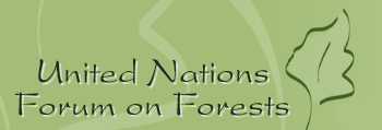 Uluslararası Orman Yılı 2011 yılı BM Genel Kurulu tarafından Uluslararası Orman Yılı olarak ilan edilmiştir.
