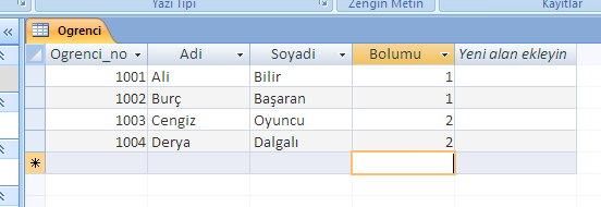 Bilgi Girişi Tabloya elle bilgi girişi için Veri Görünümü ne