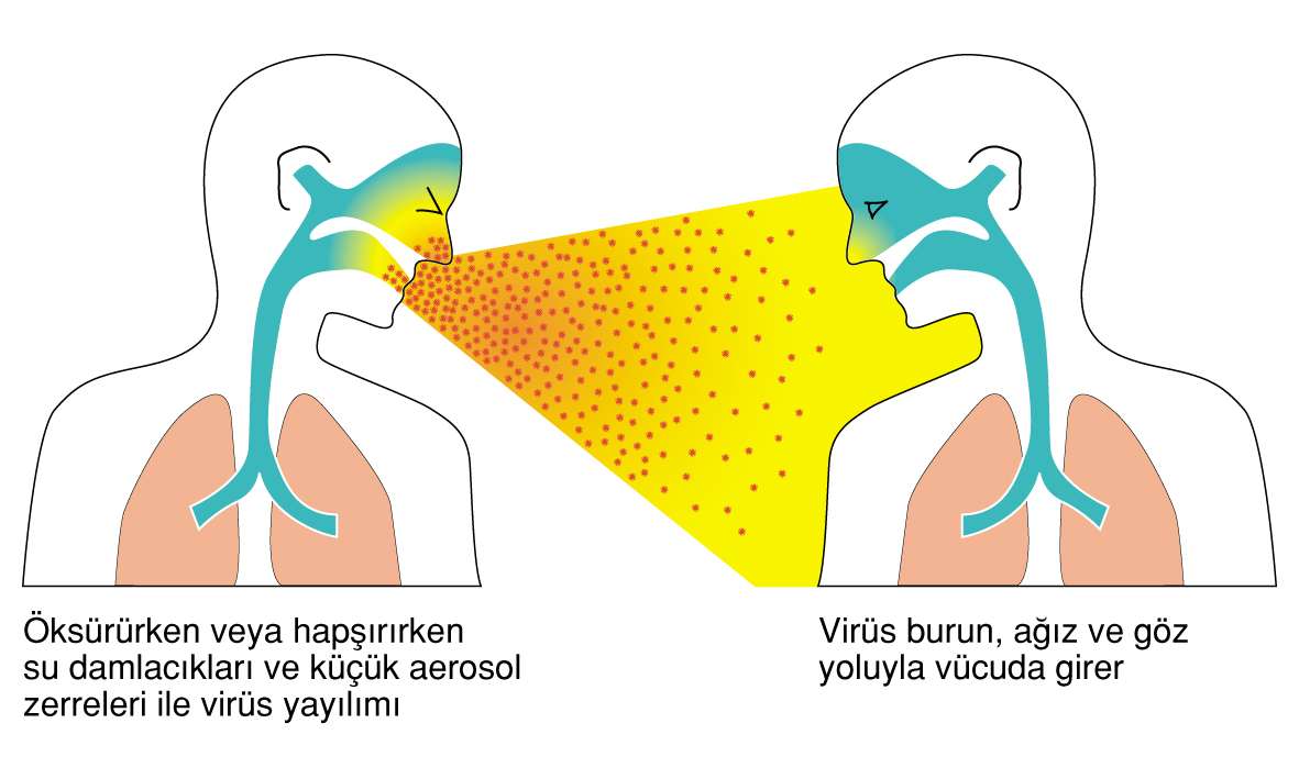 Influenza