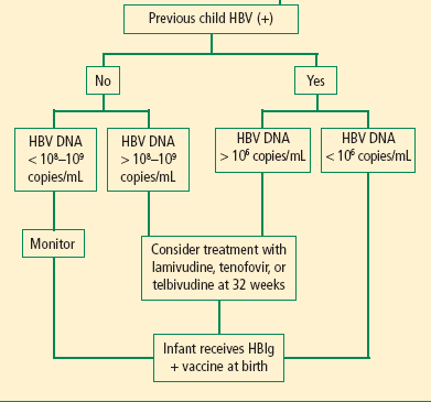 Bebek Yüksek HBV DNA değeri? (10 6? 10 8?