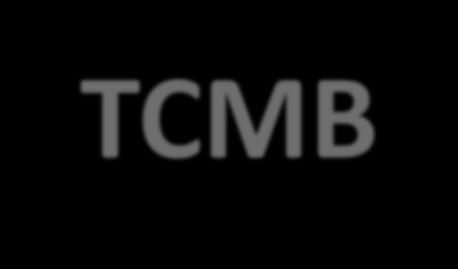 TCMB TCMB günümüzde fiyat istikrarının sağlanması için «enflasyon hedeflemesine dayanan para politikası» uygulamaktadır.
