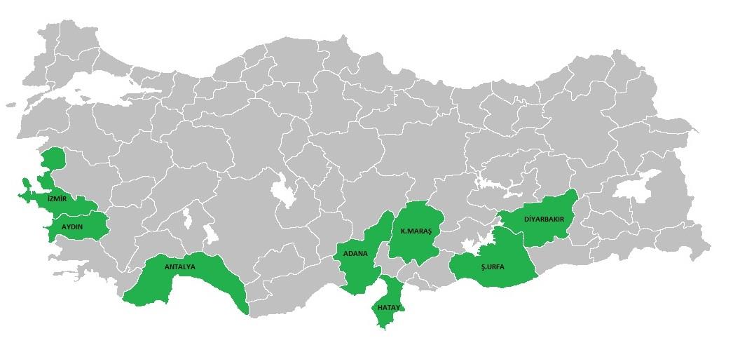 KÜTLÜ ÜRETİMİ (KG) ŞANLIURFA 13%