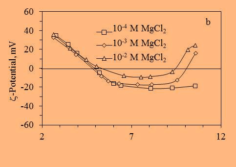 ζmanyetit MgCl 2 Bir 2:1 elektrolit olan MgCl 2 düşük derişimlerde bile zeta potansiyeli sıfıra yaklaştırmakla kalmaz, yüksek derişimlerinde zeta