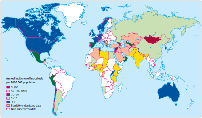 The New Global Map of Human