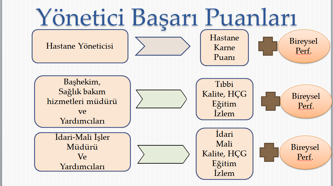 Sağlık Tesisi Başarı Puanları MALİ