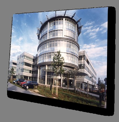 oluşturulmuştur 1993 yılında kurulmuştur, IBM ve SAP ortak ekiplerden oluşmuştur Walldorf, Almanya da bulunan