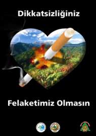 b) Orman Yangınlarının Failleri: 2009 yılında çıkan 250 adet orman yangınının 89 adeti % 36 sı Yıldırım dan çıkmıştır.