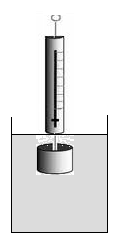 ETKİNLİK 3 1) Öncelikle cismin havadaki ağırlığını dinamometre ile gözlemleyiniz. Bulduğunuz değeri aşağıdaki boşluğa not ediniz.