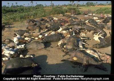 3 Aralık 1984: ABD kökenli Union Carbide firmasının Hindistan'da Bhopal'de kurduğu böcek ilacı üreten fabrikadan yanlışlıkla