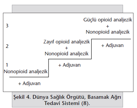 Gerekçe kronik ağrı hastalarında opioid bağımlılığı sanılandan çok daha nadirdir.