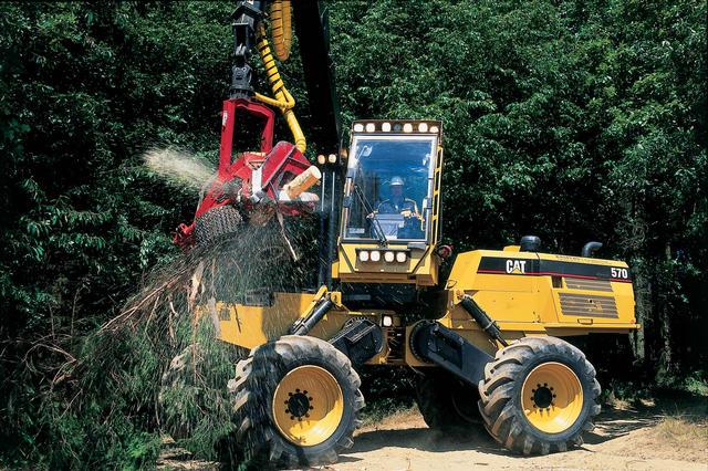 Orman Biyokütlesi Modern enerji ormancılığı projelerini uygulayan ülkelerde ise, birim alandan en kısa zamanda en fazla odun üretiminin sağlanabilmesi için makinalı modern yöntemler uygulanmaktadır.
