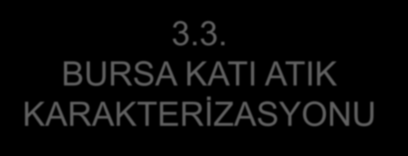 3.3. BURSA KATI