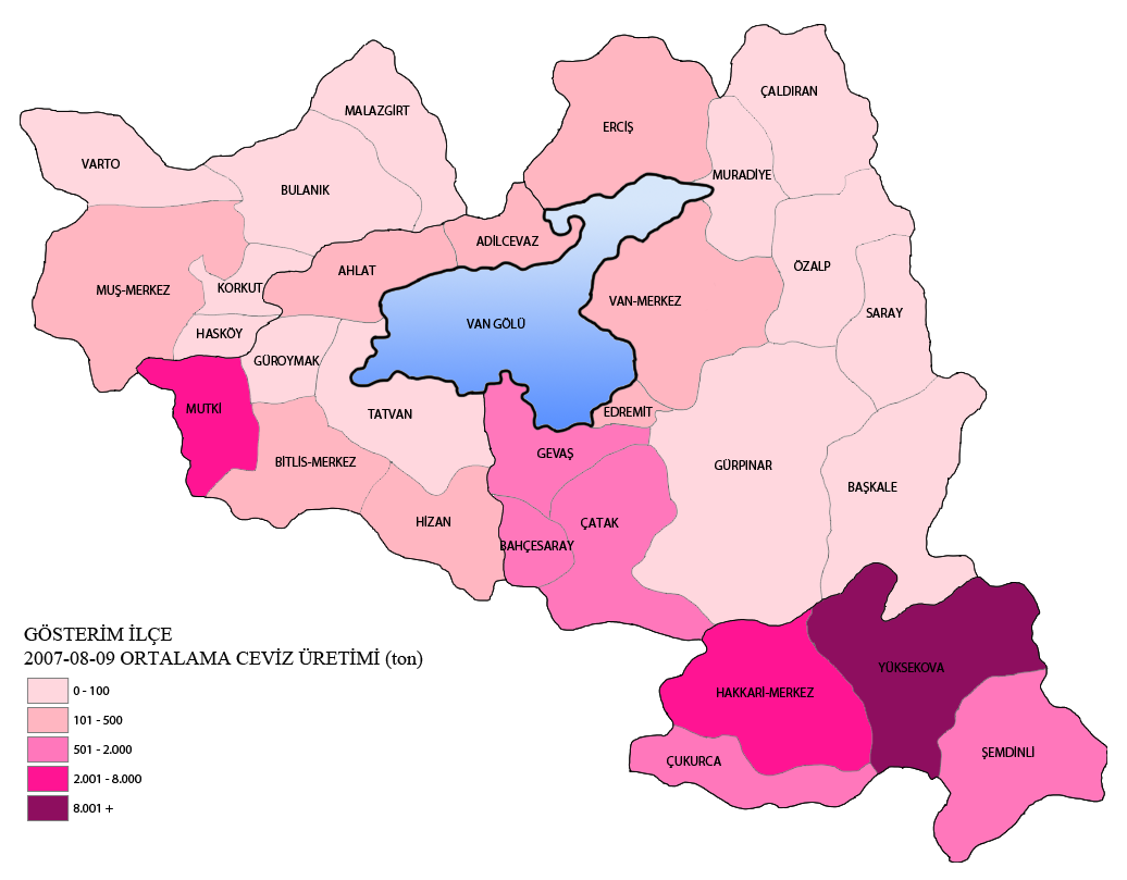 pazarlanmasına neden olmaktadır. Meyveler toplu pazarlama kuruluşları ve ihracata uygun olmadığından ildeki ceviz potansiyeli üreticilere yüksek gelir sağlayamamaktadır.