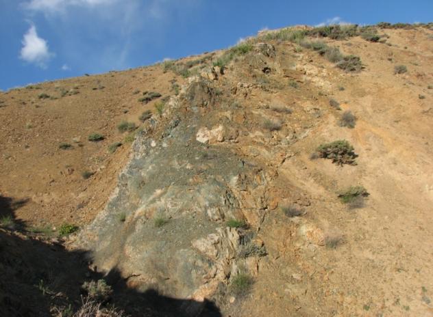 Kuluncak ( Malatya ) kuzeyindeki alkali mağmatizmayla ilişkili ve Fe-Oksitlere bağlı Au,Ag,Cu,Pb,Th ve REE cevherleşmeleri Üst Kretase-Paleosen yaşlı Hasançelebi Siyenitoyidi nin skarn ve Orta