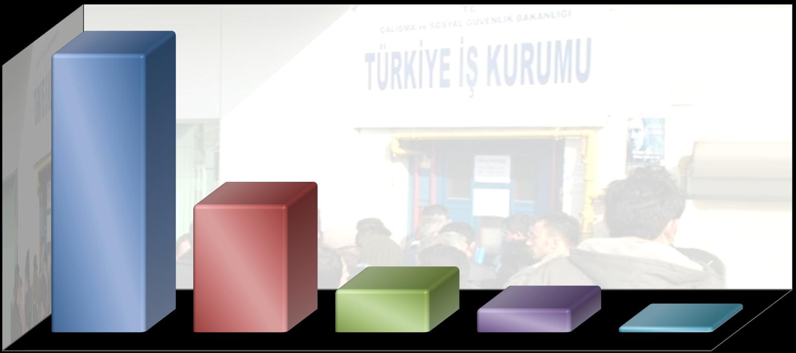 Çalışmayanların %58 i ev kadını olduğunu, %27 si emekli olduğunu, %9 u öğrenci olduğunu, %5 i işsiz ve iş aradığını ve %1 i işsiz ama iş aramadığını belirtmiştir.