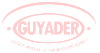 Gelir Uzmanları ve Yardımcıları Derneği GUYADER - İnkilap sok.