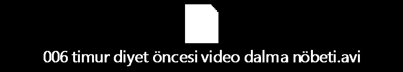 Diyet öncesi video görüntüsü Diyet 3.