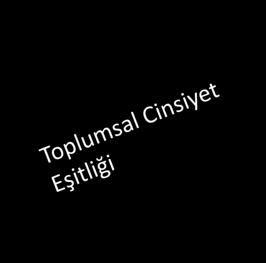 İlerleme yok: Ekonomik Fırsatlar PİYASALAR İşgücüne/kredilere/ arazi MARKETS piyasalarına/ ağlara erişimde farklılıklar FORMEL OLMAYAN INFORMAL KURUMLAR INSTITUTIONS Bakım/piyasada çalışma hakkında