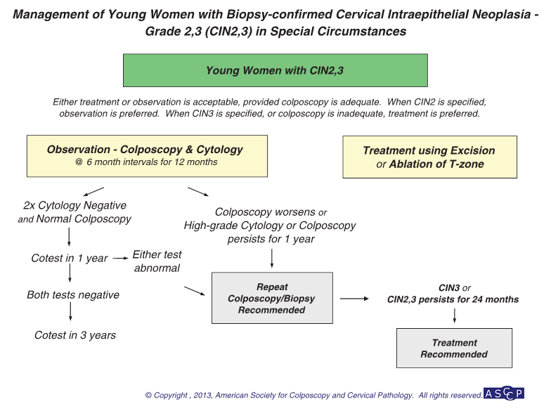 Biyopside CIN2 ve 3 «Genç kadın» Kolposkopi yeterli ise tedavi veya gözlem kabul edilebilir.