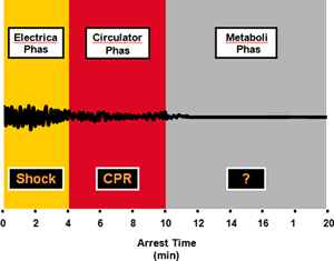 Three-Phase Model İlk 4 dakikada Defibrilasyon etkili ancak özellikle hastane dışı VF arrestlerine bu safhada ulaşması her