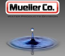 Su/Atıksu Yönetimi 2010 yılında Echologics Engineering Inc., 8M $ karşılığında 4.500 çalışanı ve 1.3 Milyar $ lık Mueller Water Products Inc tarafından satın alındı.